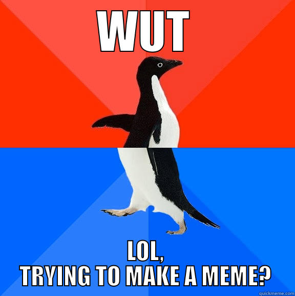 wut lol trying to make a meme - WUT LOL, TRYING TO MAKE A MEME? Socially Awesome Awkward Penguin