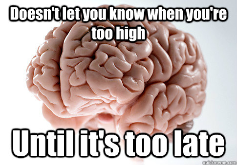 Doesn't let you know when you're too high Until it's too late   Scumbag Brain