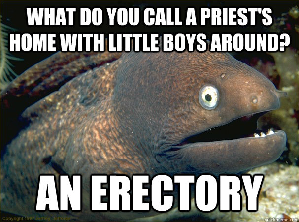 What do you call a priest's home with little boys around? an erectory  Bad Joke Eel