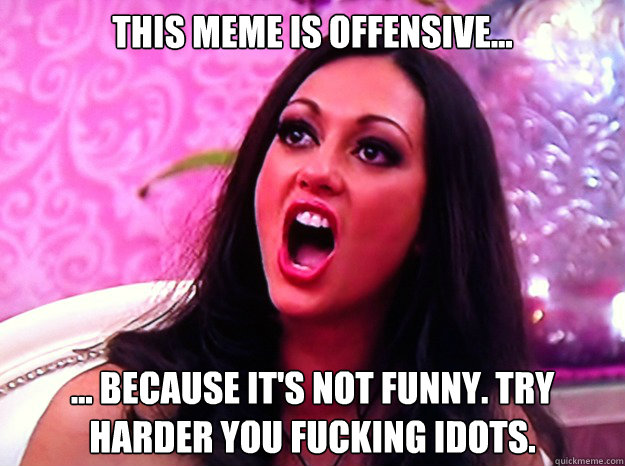 This meme is offensive... ... because it's not funny. try harder you fucking idots.  Feminist Nazi