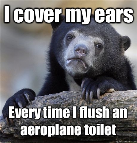 I cover my ears Every time I flush an aeroplane toilet  Confession Bear