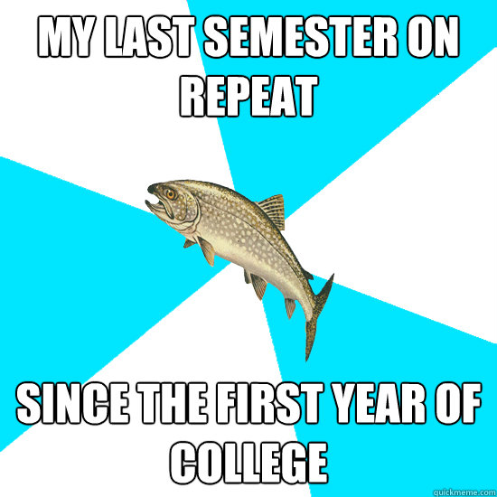 My last semester on repeat since the first year of college  Pop Punk Trout