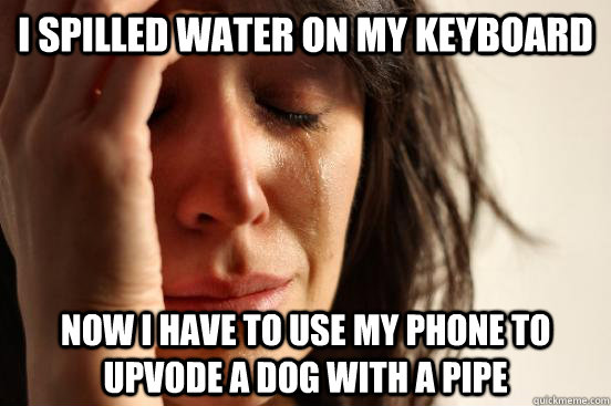 i spilled water on my keyboard now i have to use my phone to upvode a dog with a pipe - i spilled water on my keyboard now i have to use my phone to upvode a dog with a pipe  First World Problems