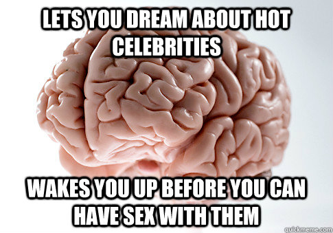 Lets you dream about hot celebrities Wakes you up before you can have sex with them  Scumbag Brain