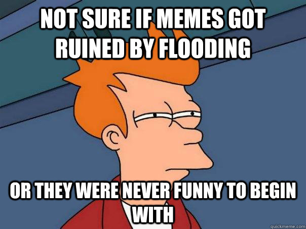 Not sure if memes got ruined by flooding Or they were never funny to begin with  Futurama Fry