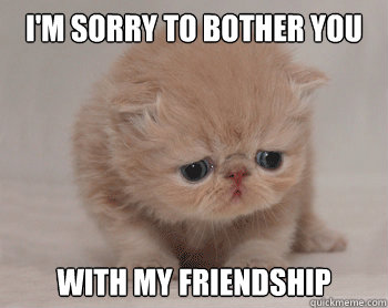 I'm sorry to bother you with my friendship - I'm sorry to bother you with my friendship  Misc