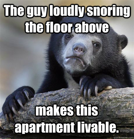 The guy loudly snoring the floor above makes this  apartment livable.  Confession Bear