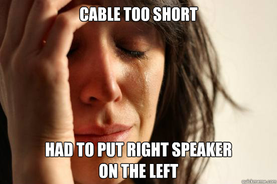 Cable too short Had to put right speaker
on the left  First World Problems