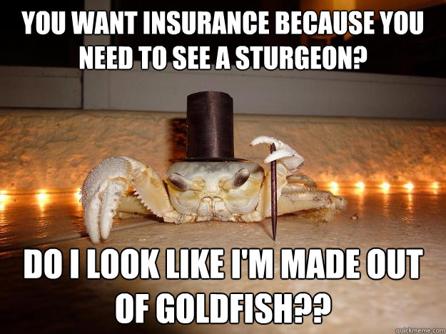 you want insurance because you need to see a sturgeon? do i look like i'm made out of goldfish??  Fancy Crab