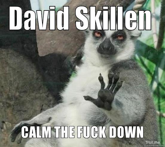 calm down everyone - DAVID SKILLEN  Misc