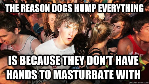 the reason dogs hump everything is because they don't have hands to masturbate with   Sudden Clarity Clarence