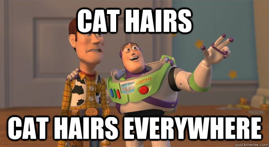 cat hairs cat hairs everywhere  Toy Story Everywhere