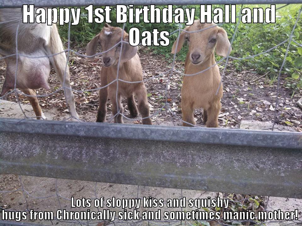 hall and oates - HAPPY 1ST BIRTHDAY HALL AND OATS LOTS OF SLOPPY KISS AND SQUISHY HUGS FROM CHRONICALLY SICK AND SOMETIMES MANIC MOTHER! Misc