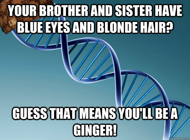 Your brother and sister have blue eyes and blonde hair? Guess that means you'll be a ginger!  Scumbag Genetics