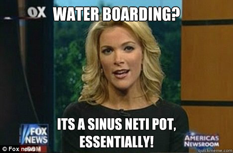 Water Boarding? Its a sinus neti pot,
Essentially!  Megyn Kelly