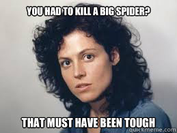 You had to kill a big spider?  ThAT MUST HAVE BEEN TOUGH  