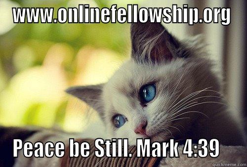 WWW.ONLINEFELLOWSHIP.ORG PEACE BE STILL. MARK 4:39    First World Problems Cat