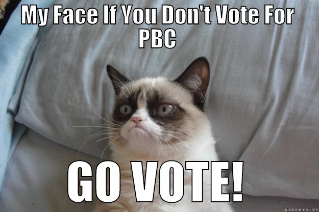 PBC Vote - MY FACE IF YOU DON'T VOTE FOR PBC GO VOTE! Grumpy Cat