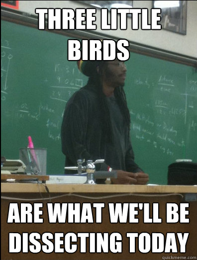 three little birds are what we'll be dissecting today  Rasta Science Teacher