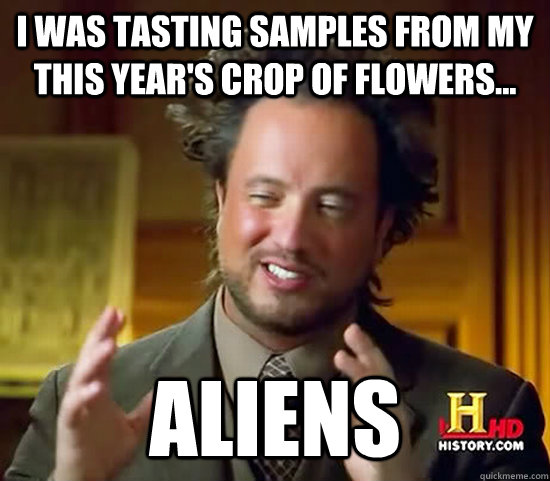 I was tasting samples from my this year's crop of flowers... aliens - I was tasting samples from my this year's crop of flowers... aliens  Ancient Aliens