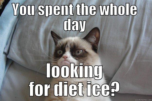 Here's an Idea - YOU SPENT THE WHOLE DAY LOOKING FOR DIET ICE? Grumpy Cat