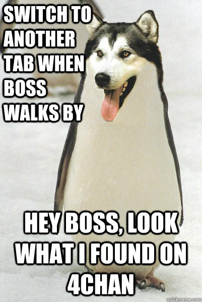 SWITCH TO ANOTHER TAB WHEN BOSS WALKS BY HEY BOSS, LOOK WHAT I FOUND ON 4CHAN - SWITCH TO ANOTHER TAB WHEN BOSS WALKS BY HEY BOSS, LOOK WHAT I FOUND ON 4CHAN  Courageously Awkward Wolf