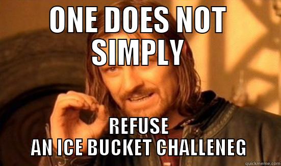 ONE DOES NOT SIMPLY REFUSE AN ICE BUCKET CHALLENEG Boromir