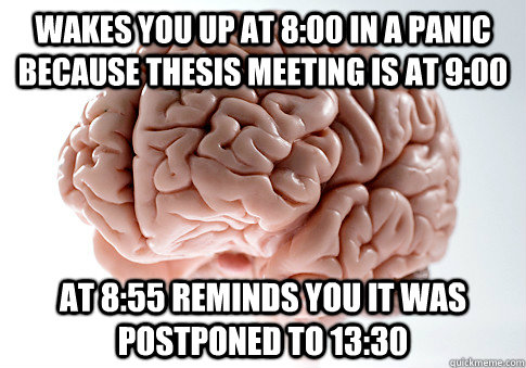 WAKES YOU UP AT 8:00 IN A PANIC BECAUSE THESIS MEETING IS AT 9:00 AT 8:55 REMINDS YOU IT WAS POSTPONED TO 13:30  Scumbag Brain