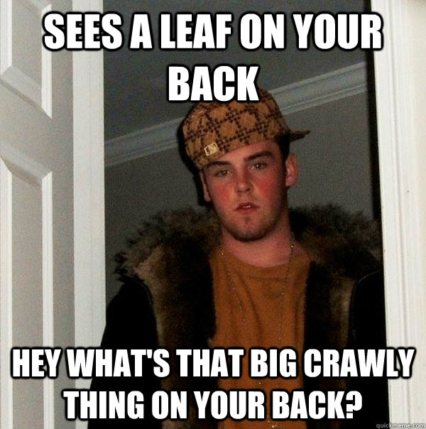 Sees a leaf on your back Hey what's that big crawly thing on your back? - Sees a leaf on your back Hey what's that big crawly thing on your back?  Scumbag Steve