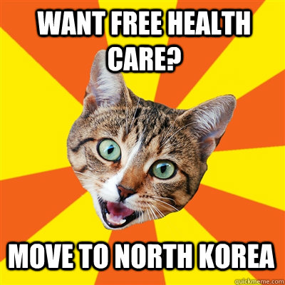 want free health care? move to north korea  Bad Advice Cat