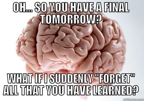 forgetful brain - OH... SO YOU HAVE A FINAL TOMORROW? WHAT IF I SUDDENLY 