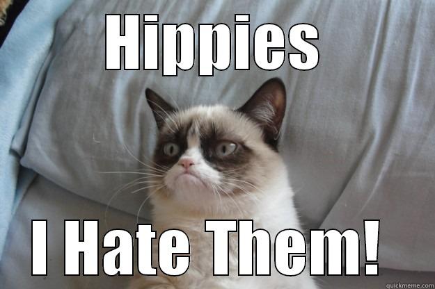 HIPPIES I HATE THEM!  Grumpy Cat