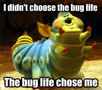 I didn't choose the bug life The bug life chose me - I didn't choose the bug life The bug life chose me  Bug life