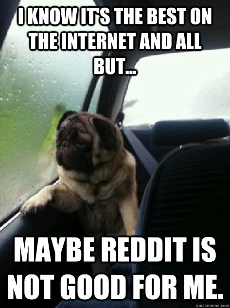 I know it's the best on the internet and all but... maybe reddit is not good for me.  Introspective Pug