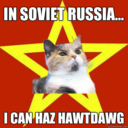 in soviet russia... i can haz hawtdawg  Lenin Cat