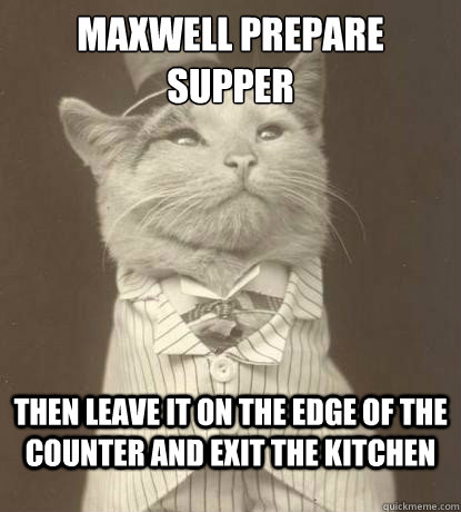 maxwell prepare supper then leave it on the edge of the counter and exit the kitchen  Aristocat