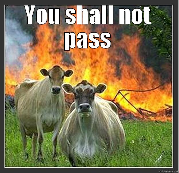 you shall not pass - YOU SHALL NOT PASS  Evil cows