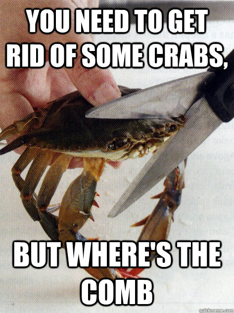 YOU NEED TO GET RID OF SOME CRABS, BUT WHERE'S THE COMB  Optimistic Crab