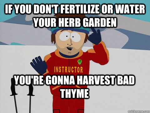 If you don't fertilize or water your herb garden You're gonna harvest bad thyme - If you don't fertilize or water your herb garden You're gonna harvest bad thyme  Bad Time