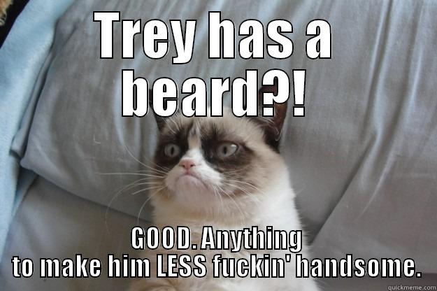 TREY HAS A BEARD?! GOOD. ANYTHING TO MAKE HIM LESS FUCKIN' HANDSOME. Grumpy Cat