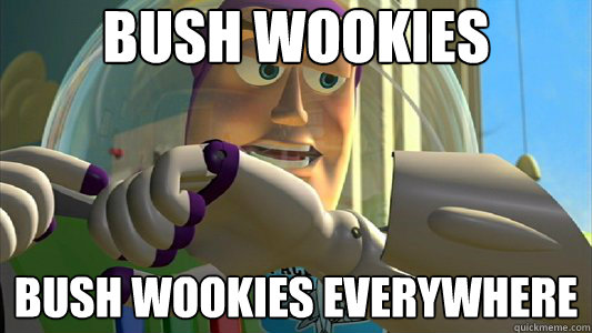 Bush wookies Bush wookies everywhere  Buzz Lightyear