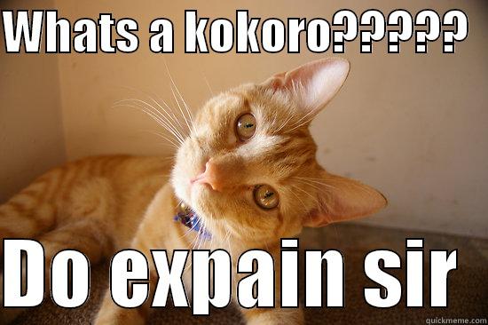 WHATS A KOKORO?????    DO EXPAIN SIR  Misc