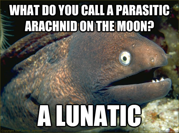 What do you call a parasitic arachnid on the moon?  A Lunatic - What do you call a parasitic arachnid on the moon?  A Lunatic  Bad Joke Eel