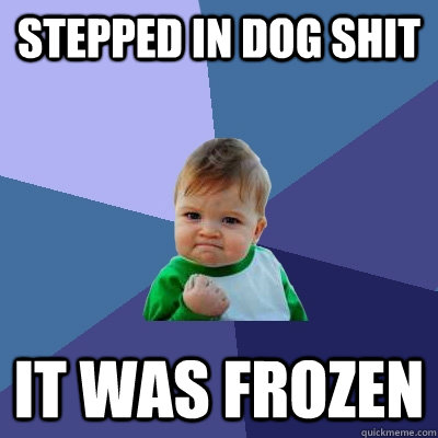 Stepped in dog shit it was frozen  Success Kid