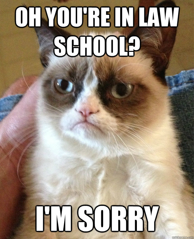 Oh you're in law school? i'm sorry - Oh you're in law school? i'm sorry  Angry Cat