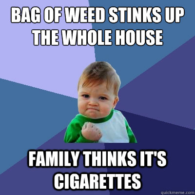 Bag of weed stinks up the whole house family thinks it's cigarettes  Success Kid