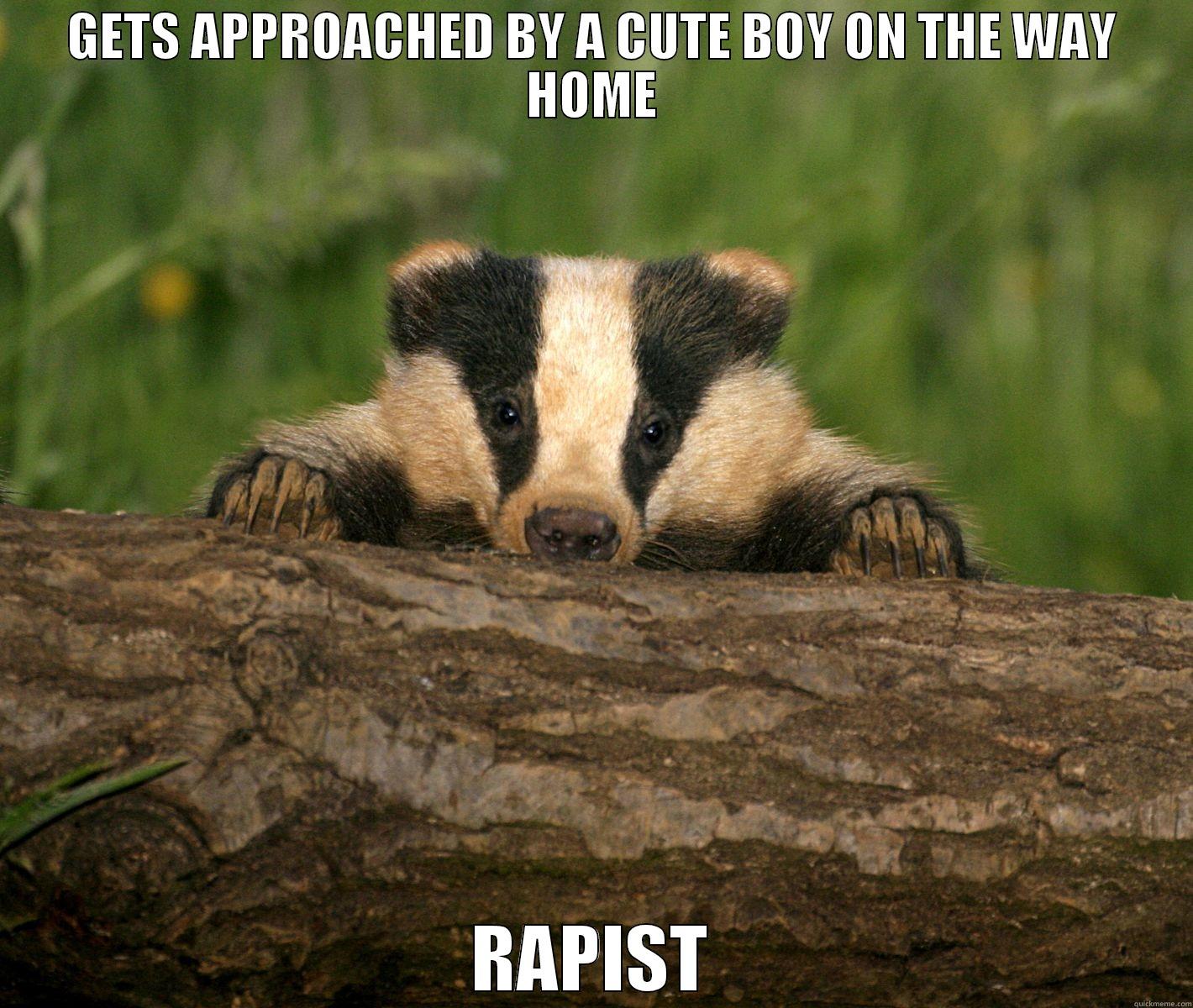 Confession Badger - GETS APPROACHED BY A CUTE BOY ON THE WAY HOME RAPIST Misc