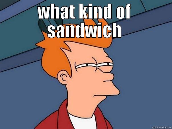 Snadwich the lad wich  - WHAT KIND OF SANDWICH  Futurama Fry