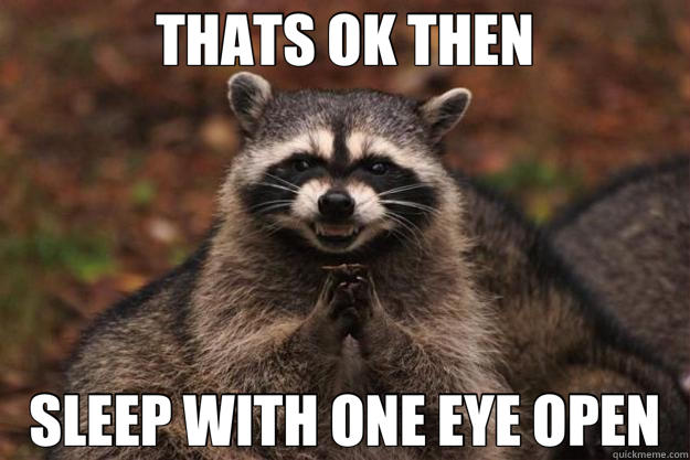 THATS OK THEN SLEEP WITH ONE EYE OPEN - THATS OK THEN SLEEP WITH ONE EYE OPEN  Evil Plotting Raccoon