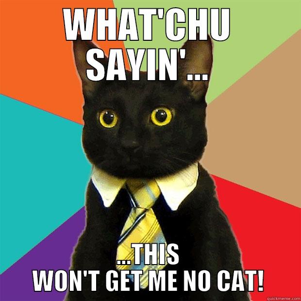 NO MORE CONFUSION - WHAT'CHU SAYIN'... ...THIS WON'T GET ME NO CAT! Business Cat